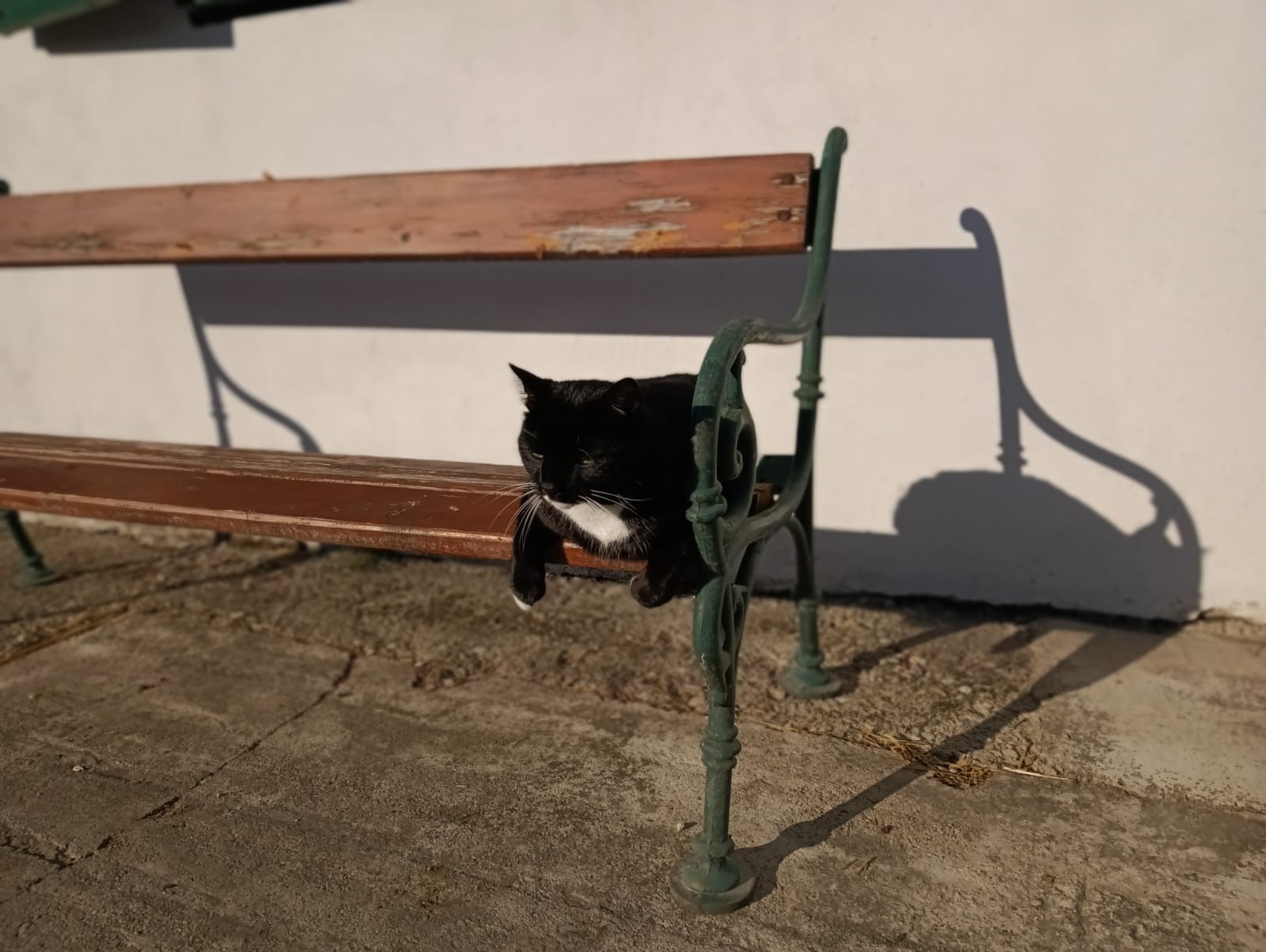 Mutzi Sonnenbaden